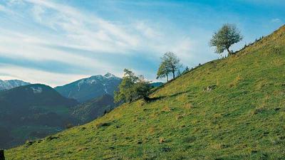 Rundweg Hochgallzein