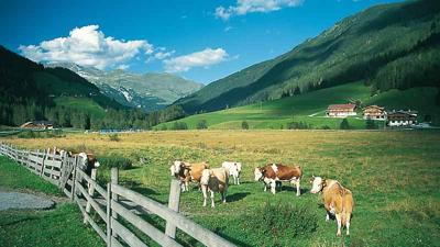 Zillertal-Radweg