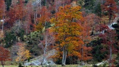 Hinterhorn – Gan