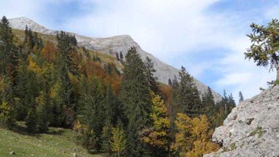 Seegrube
