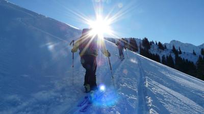 Wank, 1780m