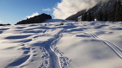 Geschwandtkopf, 1480m
