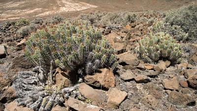 Pico de la Zarza