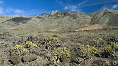 Von Famara nach Teguise