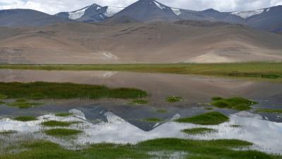 Rumtse – Tso Kar : Tag 3