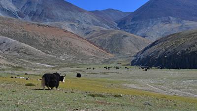Rangdum – Lamayuru: Tag 6