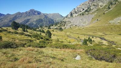 Camí de Rocafort