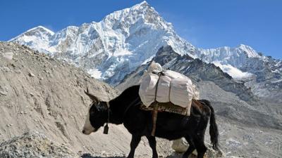Von Lukla zum Mount Everest Basislager, Tag 6