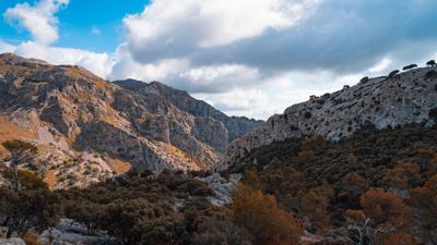 Sóller