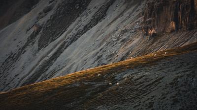 Wanderung auf den Monte Gronlait
