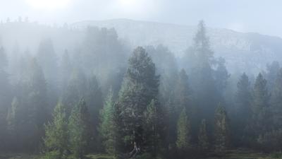 Wanderung bei Segonzano