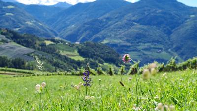 Mountainbiketour zum Monte Valnappe