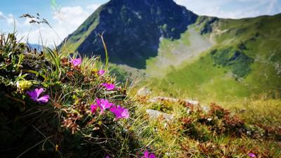 Fieberbrunner Höhenweg