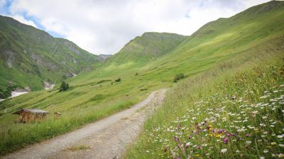 Fließer Alm (Alpe Zanders)