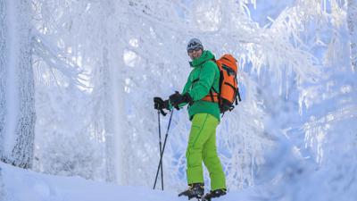 Skitour Frauenscharte (Tourengebiet Innerrosenau)