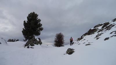Skitour Handschuhspitzen 2.319 m