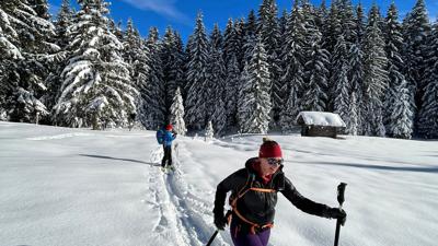 Skitour Hornspitz Almweg