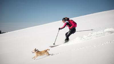Skitour auf den Windkogel oder Thorhöhe