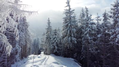 Skitour von Bad Dürrnberg zum Zinkenstüberl