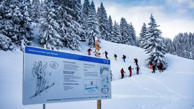 Skitourenlehrpfad Dienten