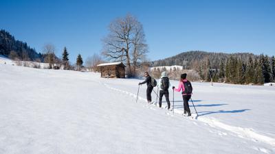 Winterwanderweg – Penninger Runde