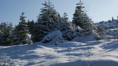 Winterwanderweg – kleine Runde