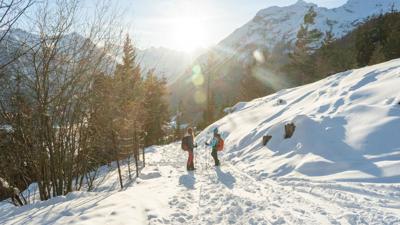 Winterwanderweg Adlerblick