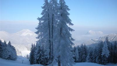Winterwanderweg Faistenau „Mittereggalm“