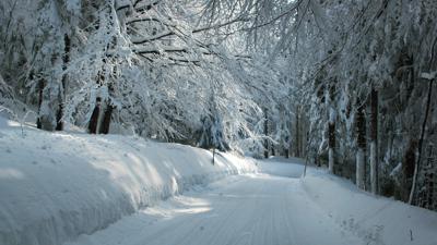 Winterwanderweg Pfarrwald