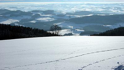 Winterwanderweg: Glashüttenweg