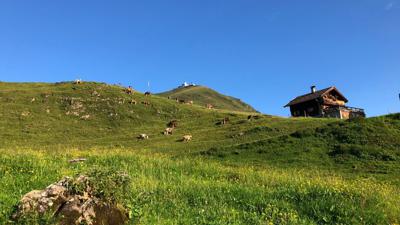 Speicherteich kleine Salve