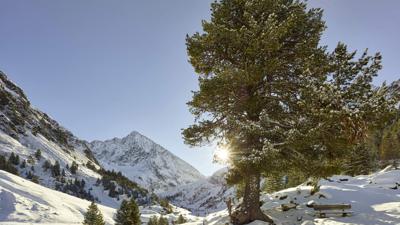 Amberger Hütte – Längenfeld/Gries 253