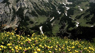 Annaberg: Mahdalm – Loseggalm (Variante Aussichtsloge Mahdriedl) (8 Punkte)