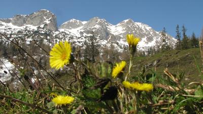 Annaberg: Von Annaberg nach Abtenau – Quehenberg – Gsengalm – Karkogel