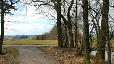 Vitalweg