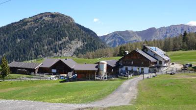 Vom Brenner über den Sattelberg (2.115m) nach Gries