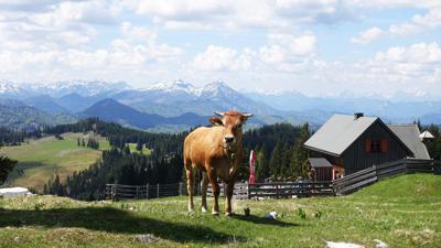Vom Erlaufsee über die Brach auf die Gemeindealpe