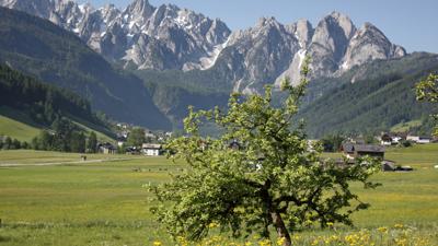 Vom Vorderen Gosausee auf die Zwieselalm
