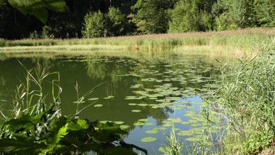 Von Fuschl hoch zum Filblingsee