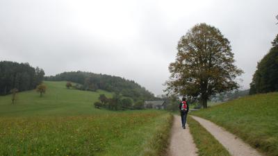 Von Kaumberg aufs alpine Hocheck, 1.037m