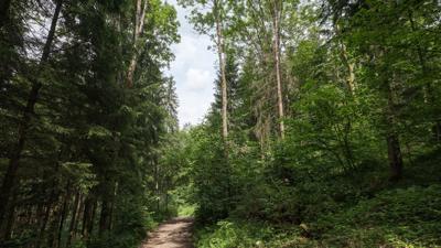 Rannatalweg