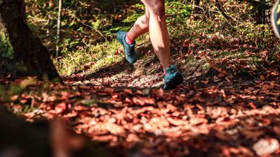 Reit-Funparcours Hausruckwald – Oberbank Fun Run