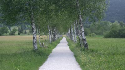 Seeuferweg