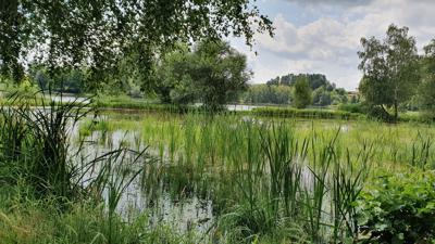 Seeweg