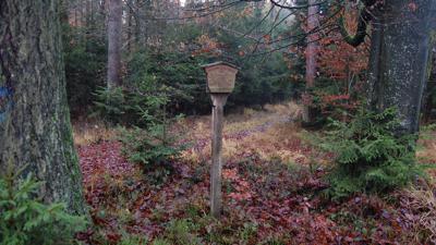 Sonnleithen-Rundwanderweg