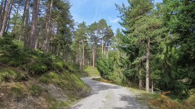 Speichersee – Pilzlehrpfad