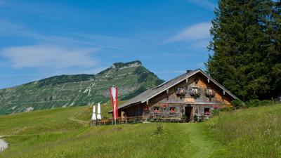 St. Koloman: Vom Trattberg zur Bergalm über die „Schneid“ und retour – (28 Punkte)