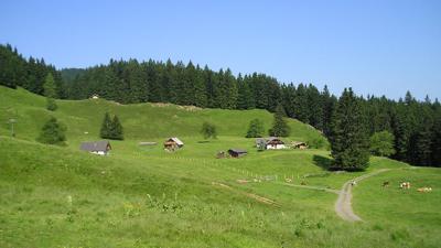 Über die Mittereggalm auf die Oberwiesalm