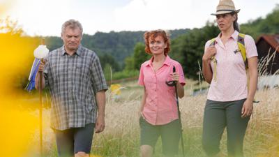 Über die Weinviertler Gipfeln- Gipfeltour von Mistelbach nach Stockerau