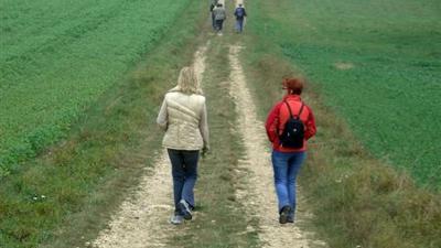 Rundwanderweg Großweikersdorf